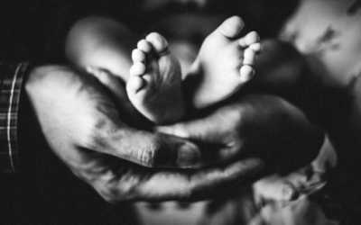 Remaining Firm in the Truth of Life