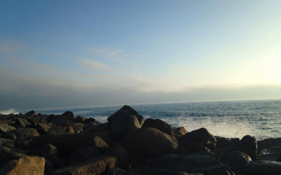 The Inseparable Mind, Body, and Soul- My Journey with Mental Health