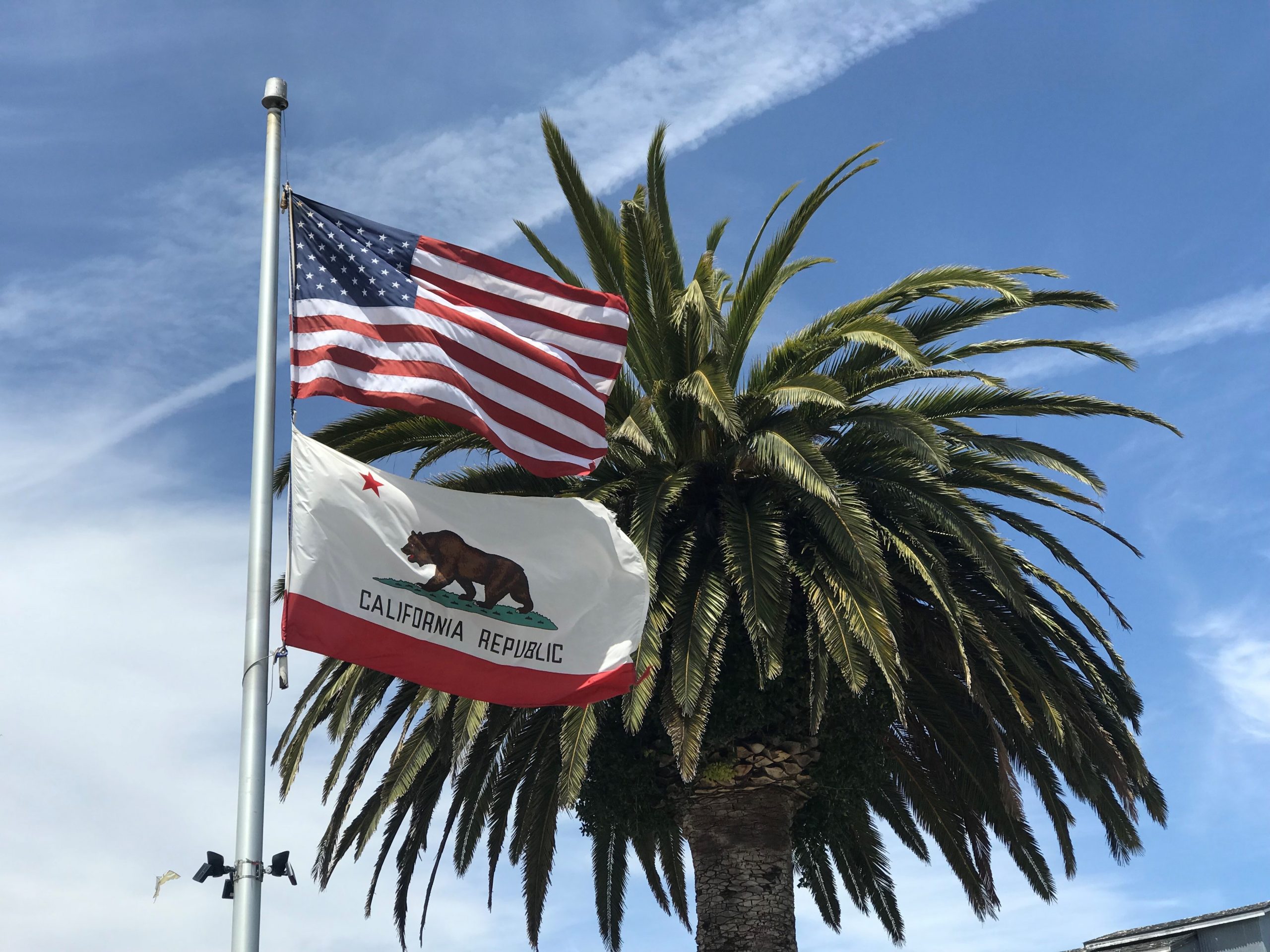 California Flag & USA Flag in front of palm tree