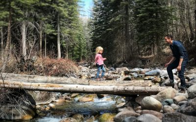 A Christian Prayer in Union with Creation