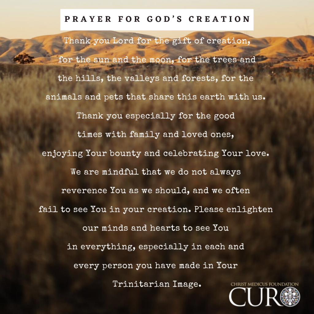 Prayer for God's Creation