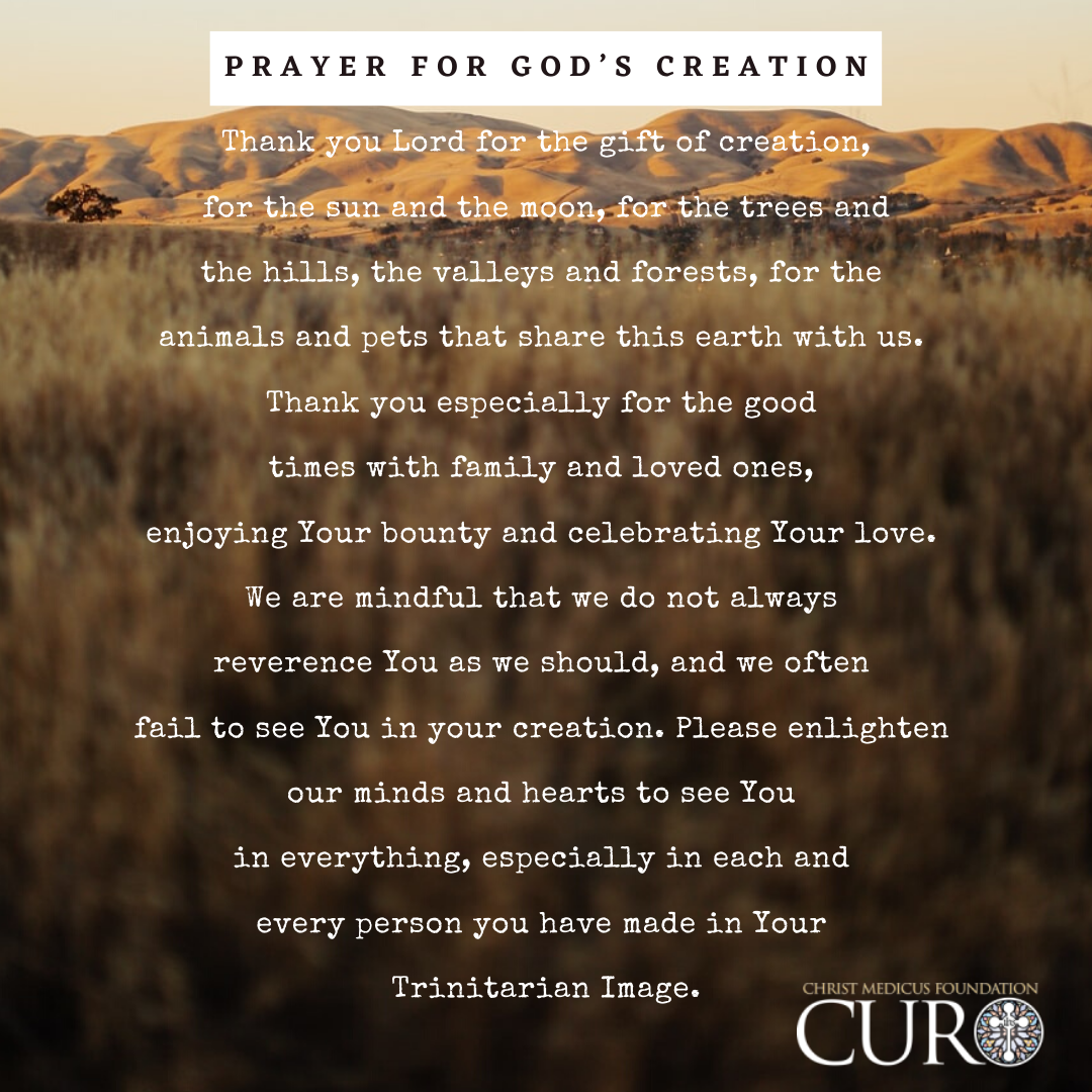A Prayer for God's Creation - Catholic Prayer by CMF CURO