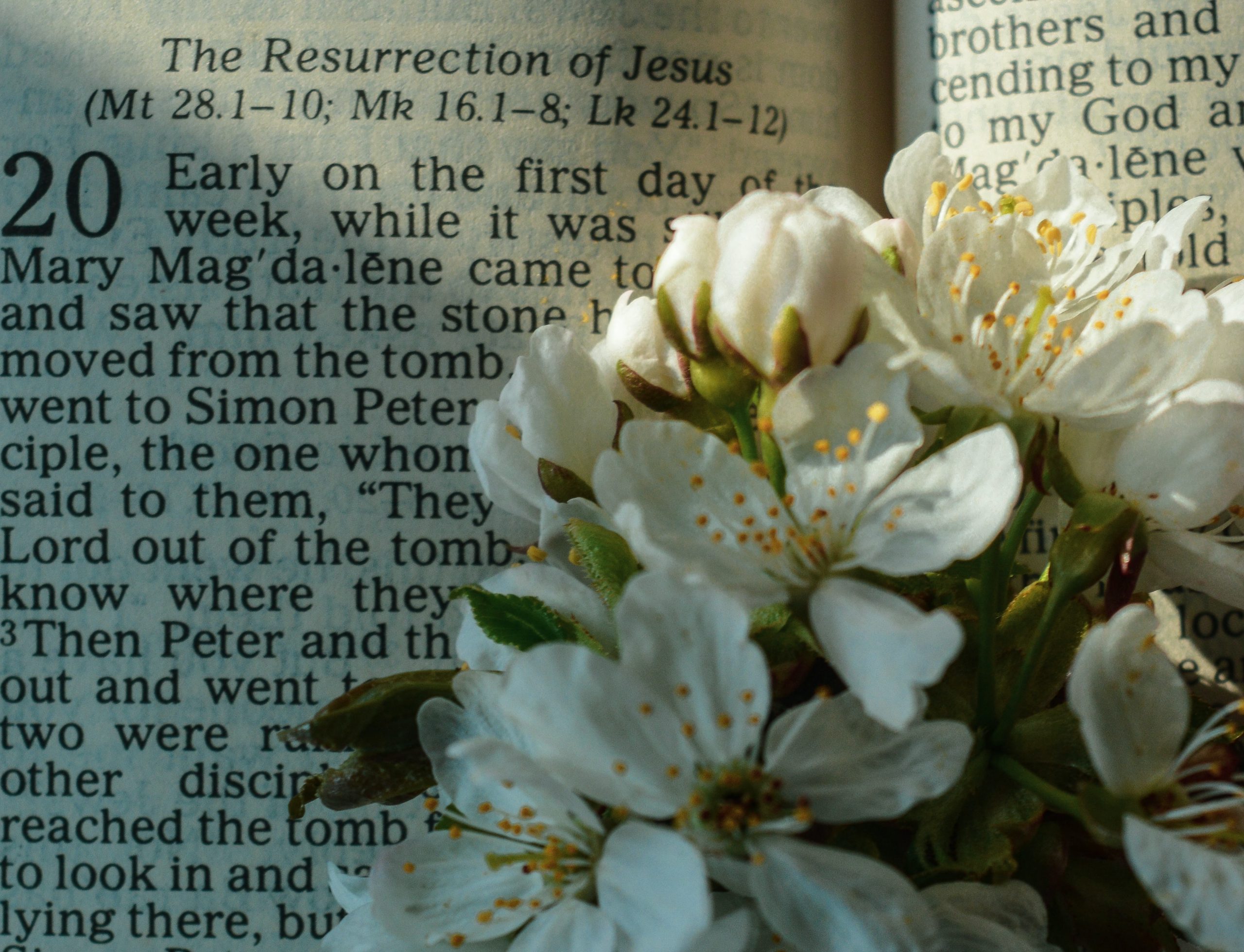 scripture the Resurrection of Jesus