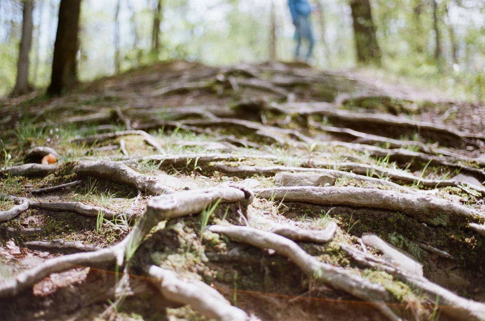 Leisure and Hiking