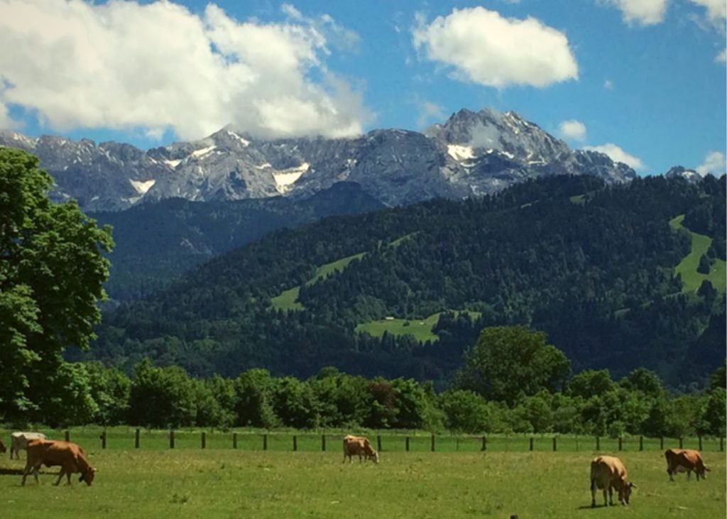 Wild Austrian Mountainside 