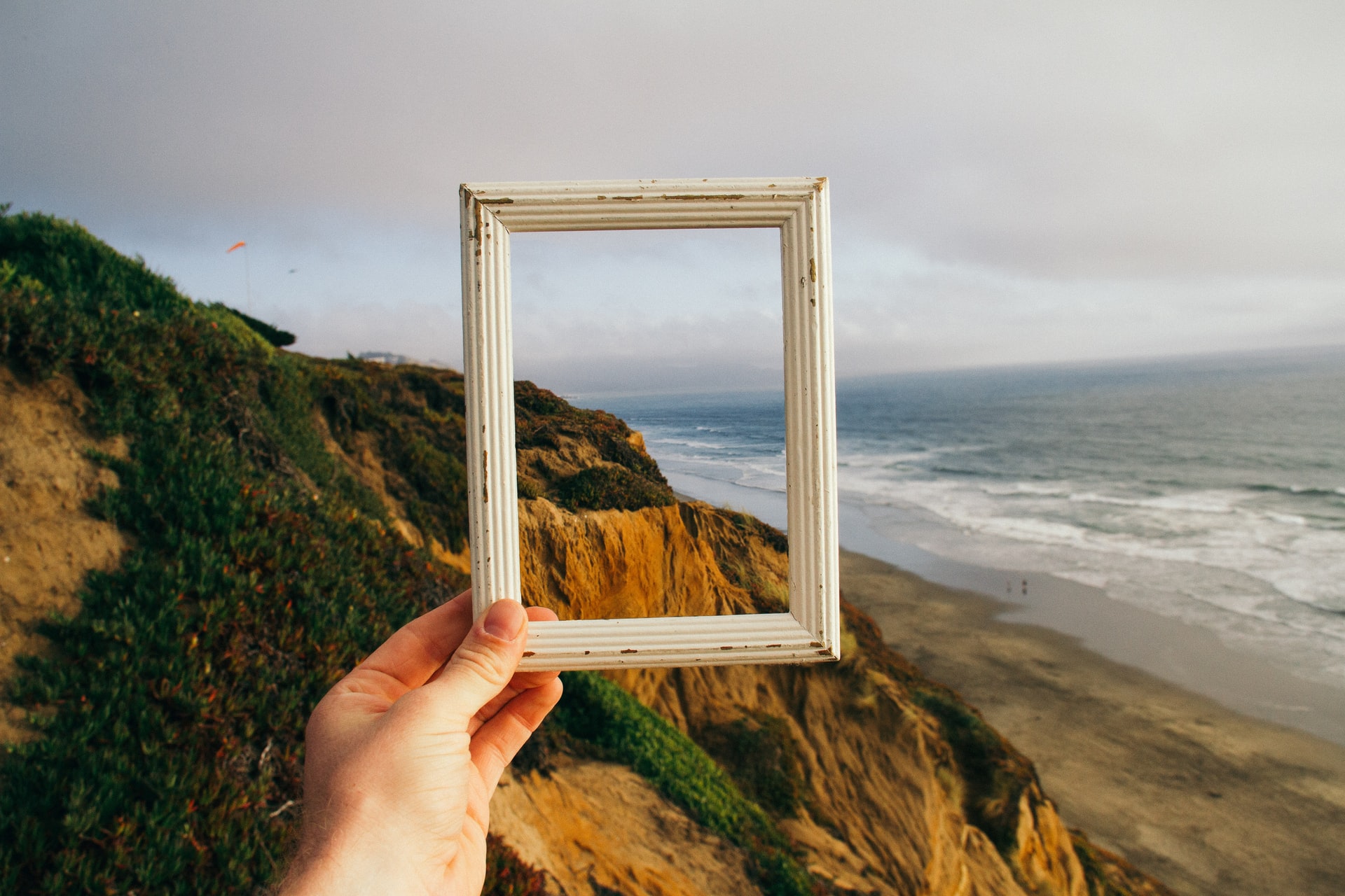 Wellness Coaching for CMF CURO Members