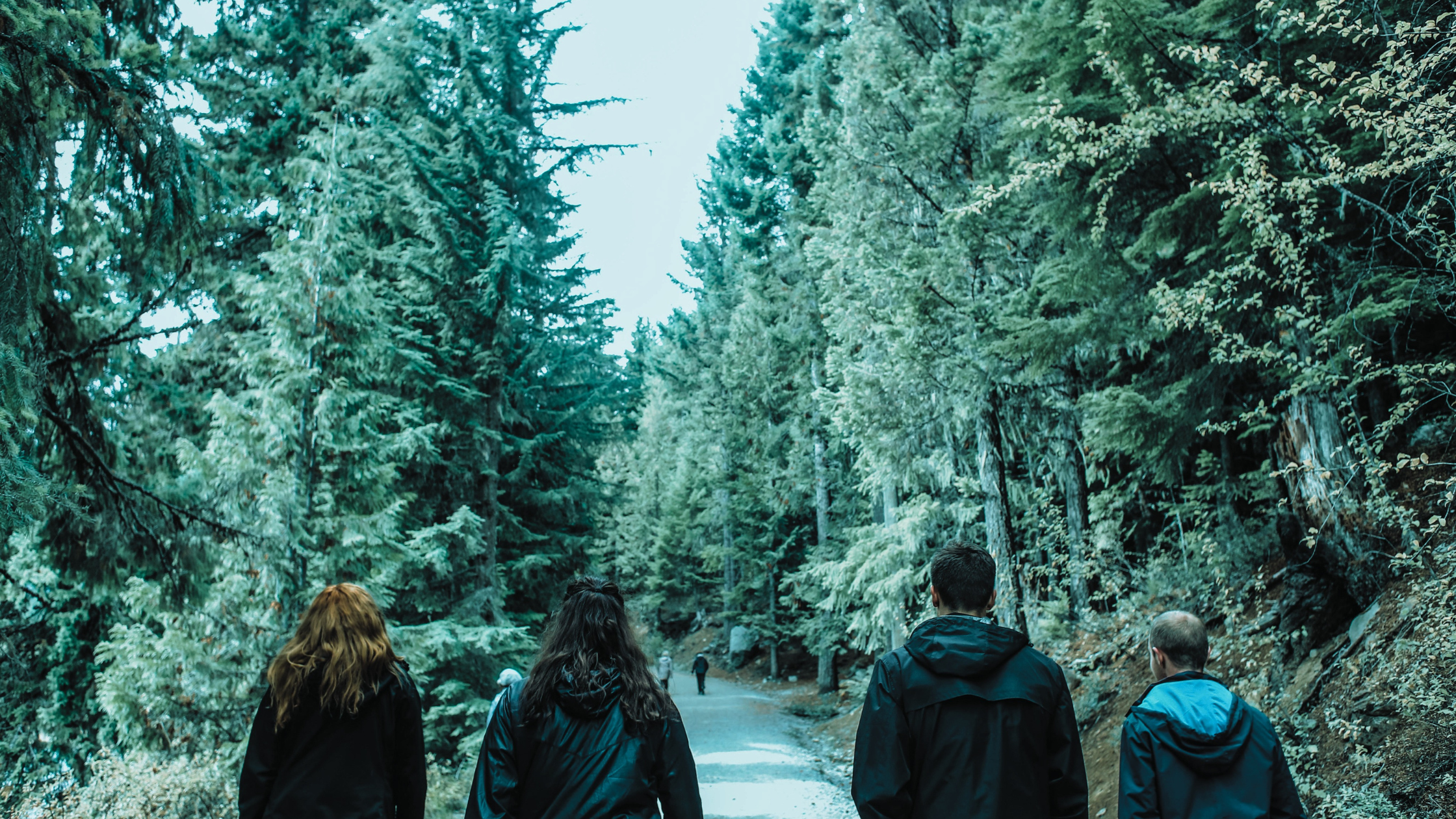 Why We Walk As One in Health Care