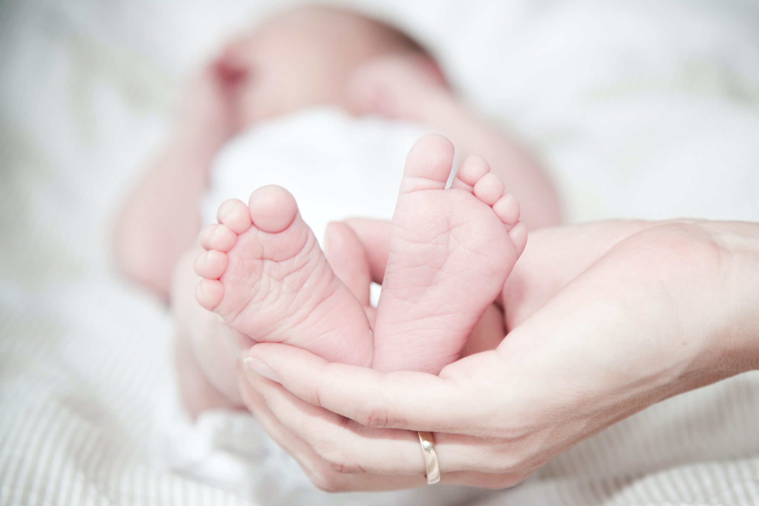 Serving the Gospel of Life; Safeguarding our Little Ones