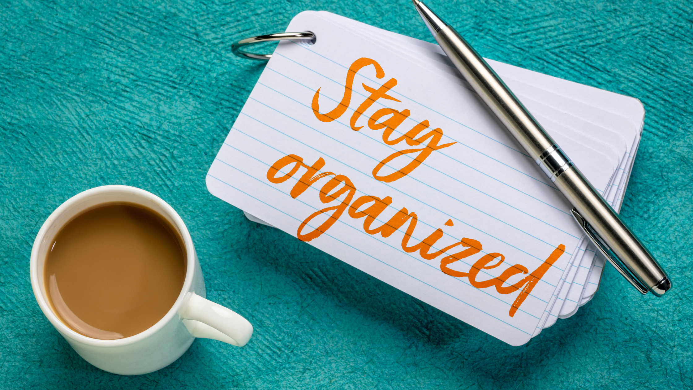 Checking In: Your New Year’s Resolutions 2024