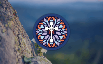 More Than Wellness: Why CMF Coaching Is Different