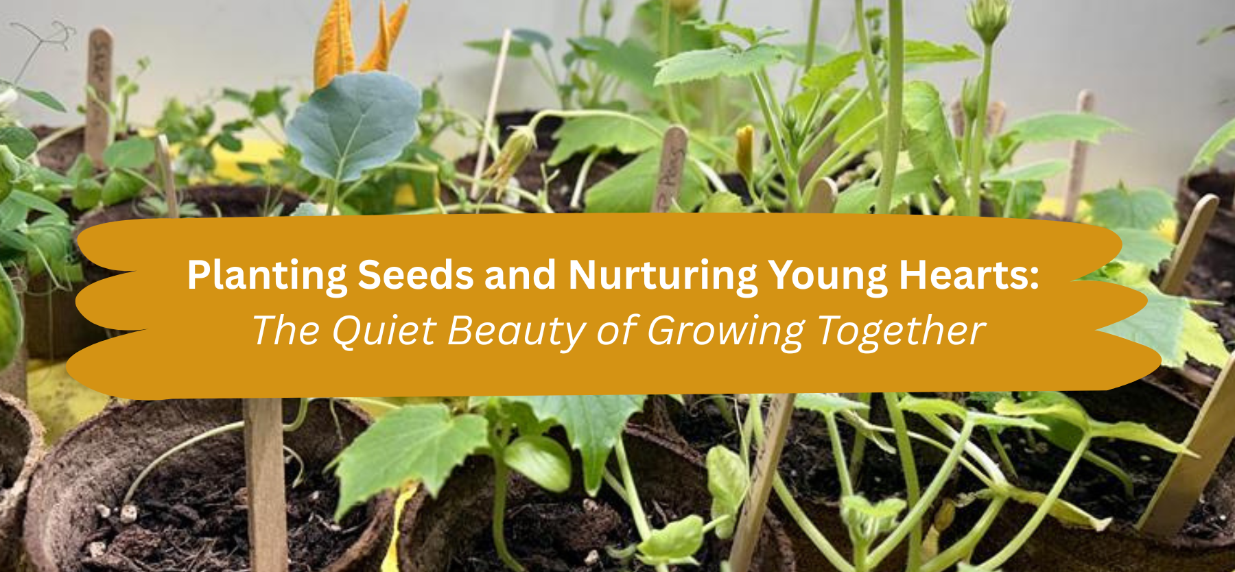 Planting Seeds and Nurturing Young Hearts: The Quiet Beauty of Growing Together