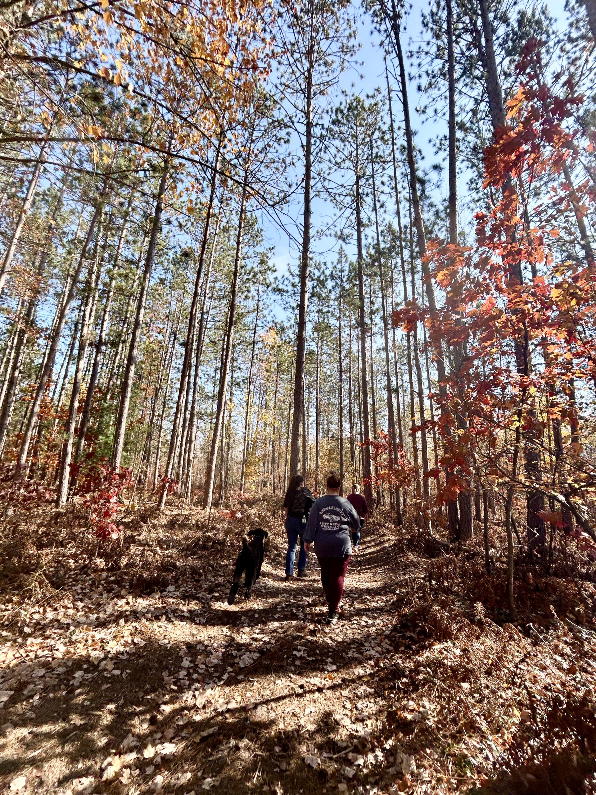 An Autumn of Grace: Finding God Through Fall Leisure and Gratitude